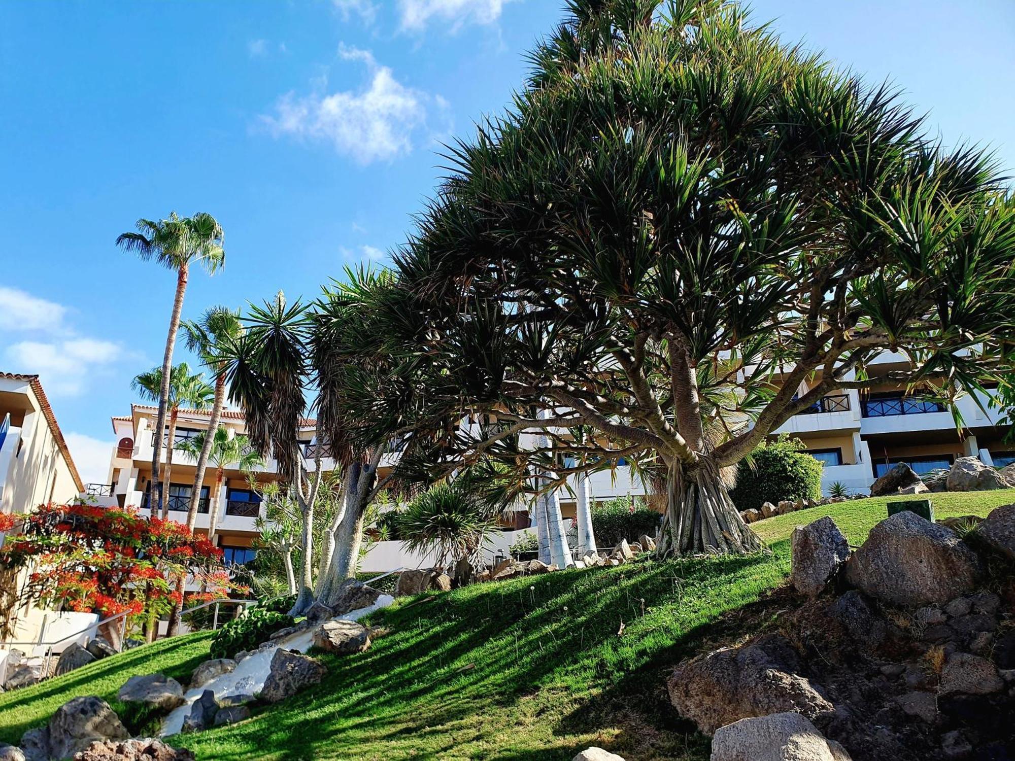Spacious Apartment With Private Garden In Tenerife South San Miguel de Abona Luaran gambar